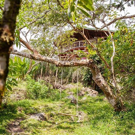 Ecofinca Fuente Alegre Cocorná Eksteriør bilde
