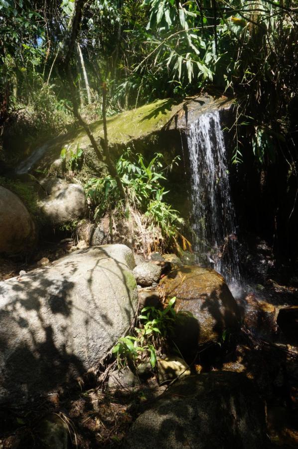 Ecofinca Fuente Alegre Cocorná Eksteriør bilde