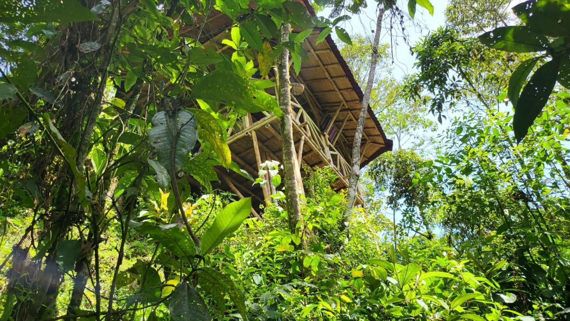 Ecofinca Fuente Alegre Cocorná Eksteriør bilde