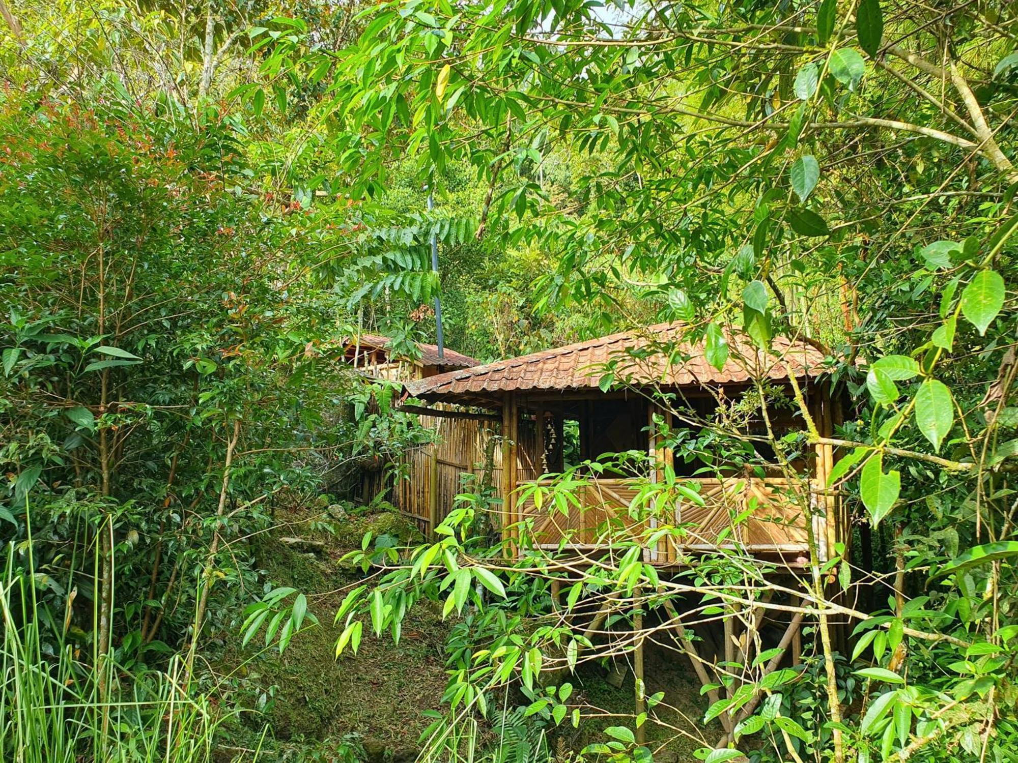 Ecofinca Fuente Alegre Cocorná Rom bilde