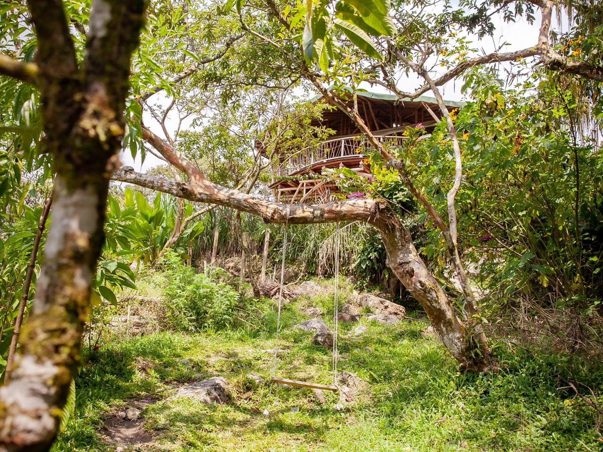 Ecofinca Fuente Alegre Cocorná Eksteriør bilde
