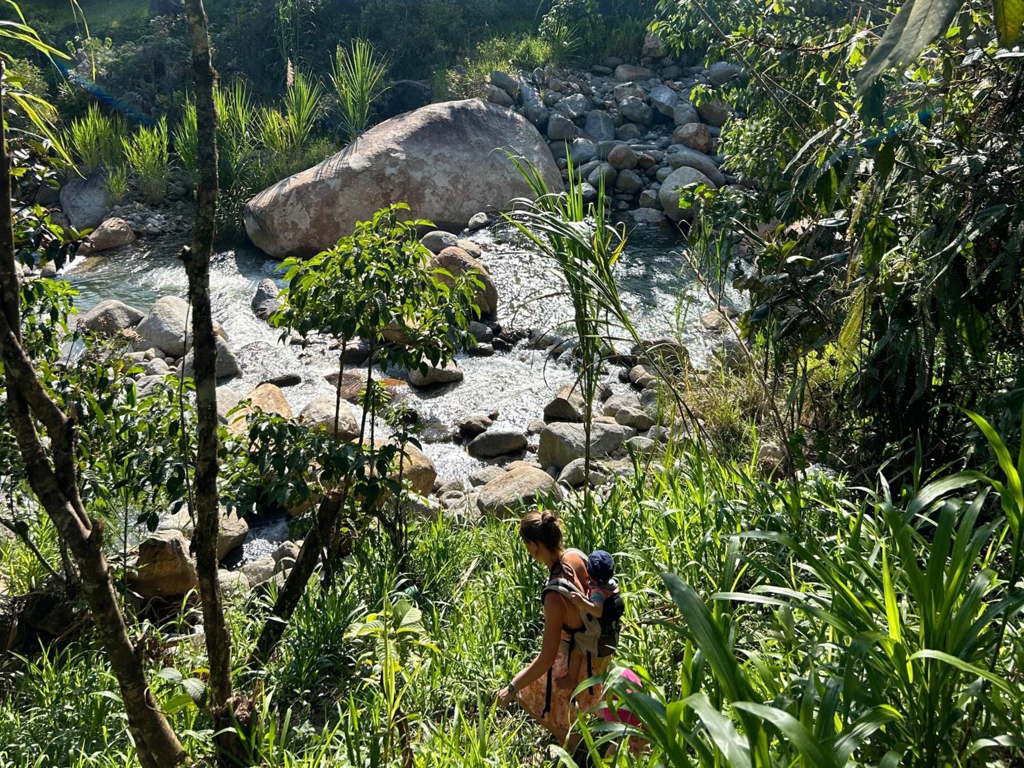 Ecofinca Fuente Alegre Cocorná Eksteriør bilde