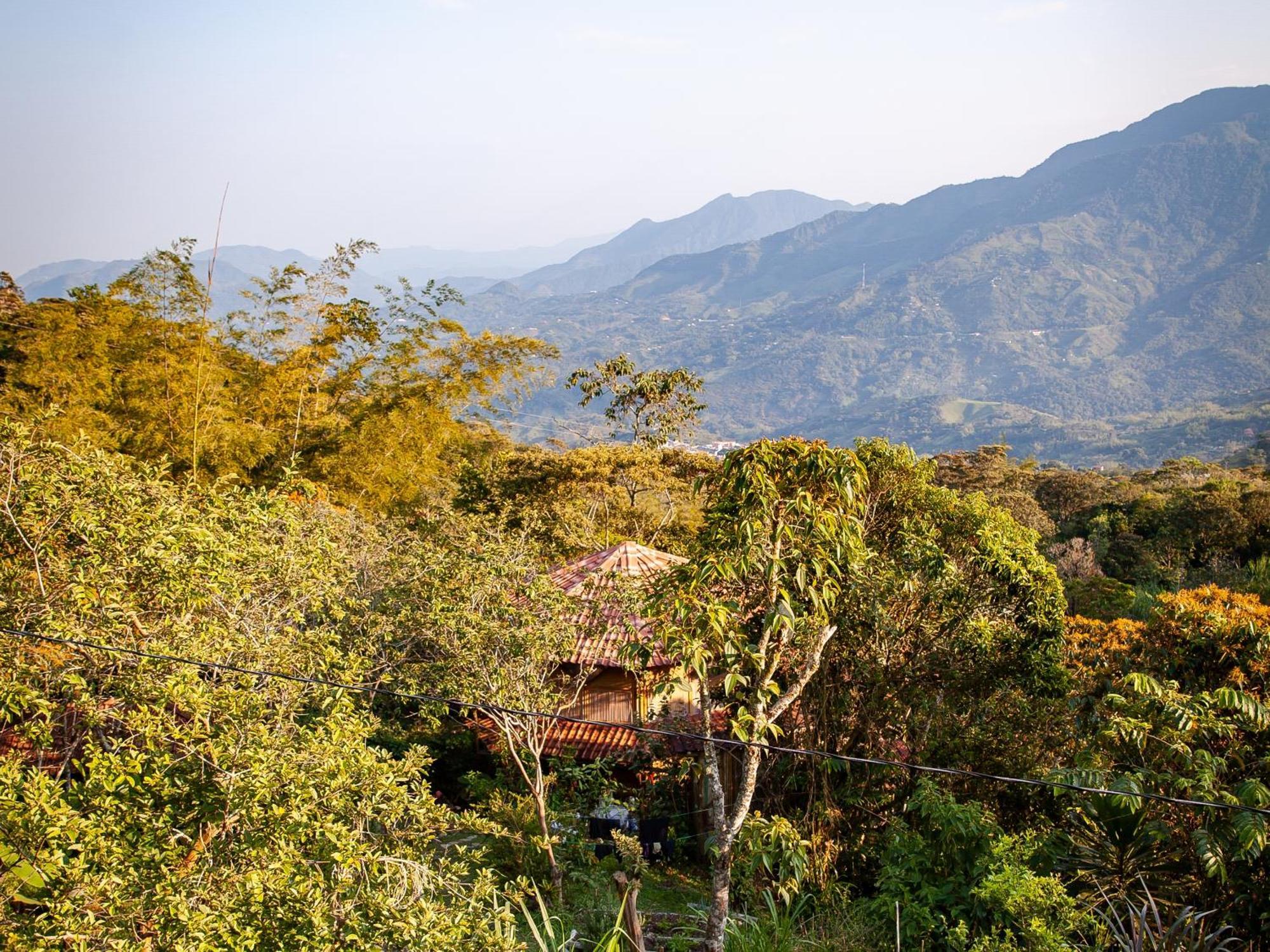 Ecofinca Fuente Alegre Cocorná Eksteriør bilde